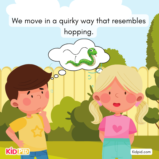 Snake moves like hopping on soft sand and uneven terrain.