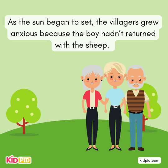 Sunset worry – boy missing with sheep.