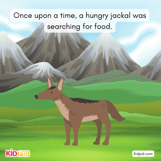Hungry jackal searching for food in a children’s moral story teaching bravery, curiosity, and problem-solving.
