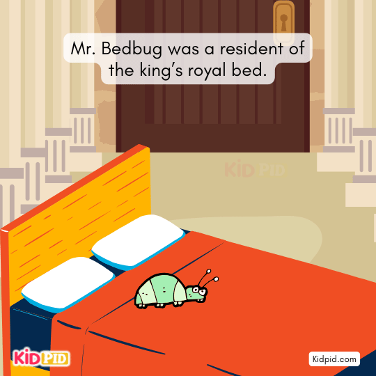 Mr. Bedbug lives comfortably in the soft royal bed of the king.