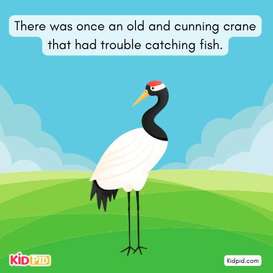 Old cunning crane struggling to catch fish in a river, starting a moral story about trickery and survival.