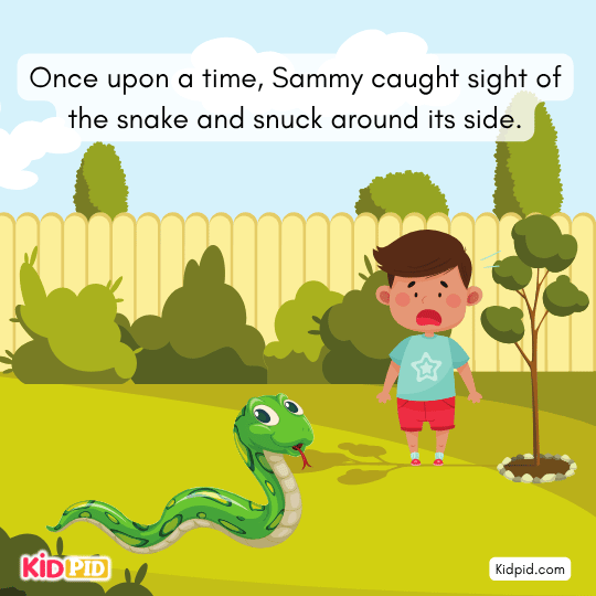 Sammy spots a snake in the jungle, beginning a science adventure.