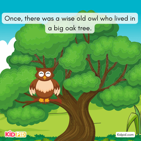 Wise old owl sitting in a big oak tree, watching the world and learning from everything around him.