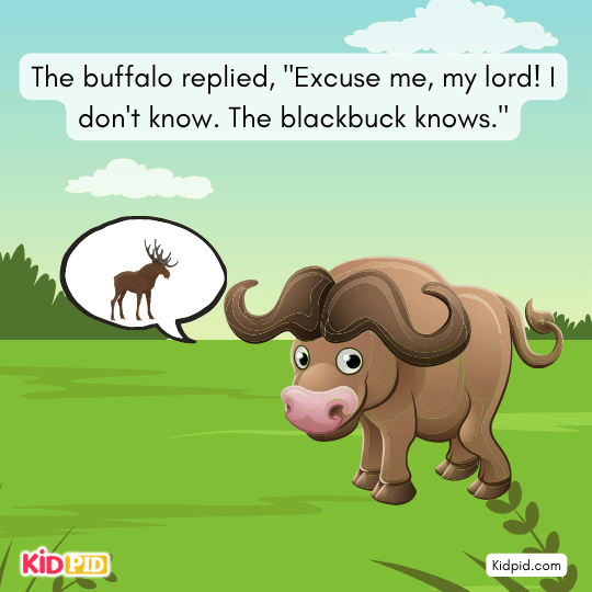 Rabbits reveal the first rabbit heard the earth crack and warned them.