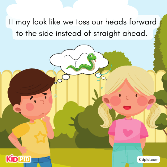 Snake demonstrates sideways crawling with sidewinding technique.