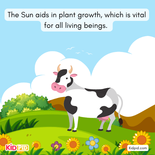 Sun providing heat and light that support life on Earth – solar energy for kids science lesson 