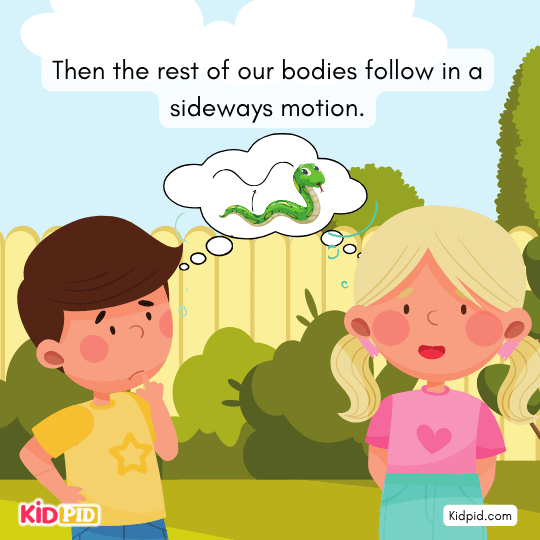 Fascinating science of snake sidewinding motion for children.