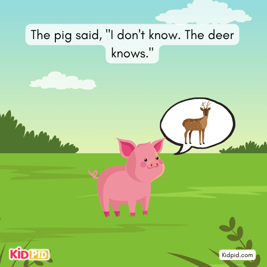 Rabbit insists he heard the cracking sound clearly under the bael tree.