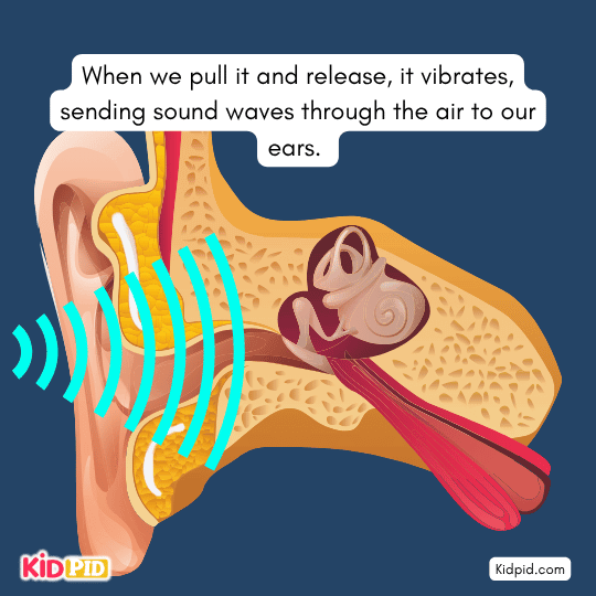 When we pull it and release, it vibrates, sending sound waves - book story