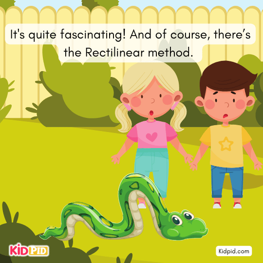 Rectilinear method: snake crawls slowly on its tummy.