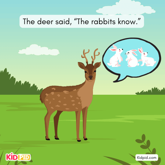 Lion asks rabbit to take him to the bael tree to verify the noise.