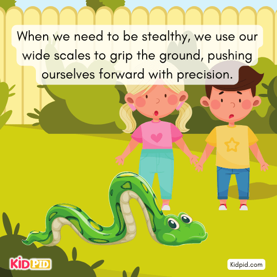 Snakes move like humans walk, run, hop, and crawl.