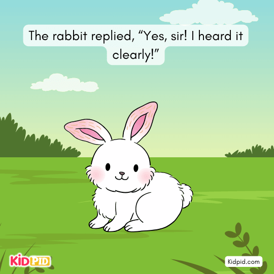 Lion inspects the area closely, searching for the source of the noise.