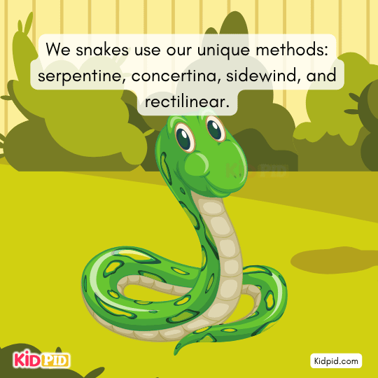 Different snake movement techniques help reach destinations safely.