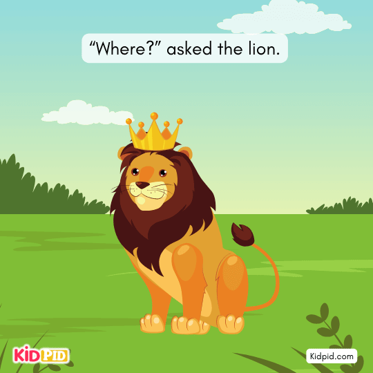 Lion finds a ripe bael fruit lying on a dry palm leaf under the tree.