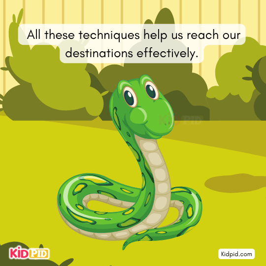 Slithers the Snake ends story proudly saying, “We slither!”