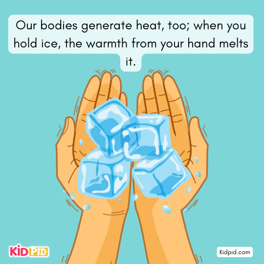 Gas stove using flames to cook food – demonstration of heat energy used in kitchen appliances 