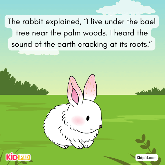 Lion realizes the bael fruit caused the noise that scared the rabbit.