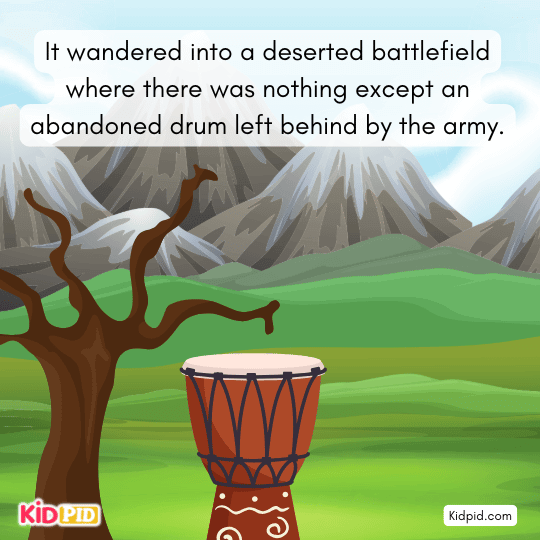 Jackal enters a deserted battlefield and finds an abandoned drum left by the army in this moral fable.