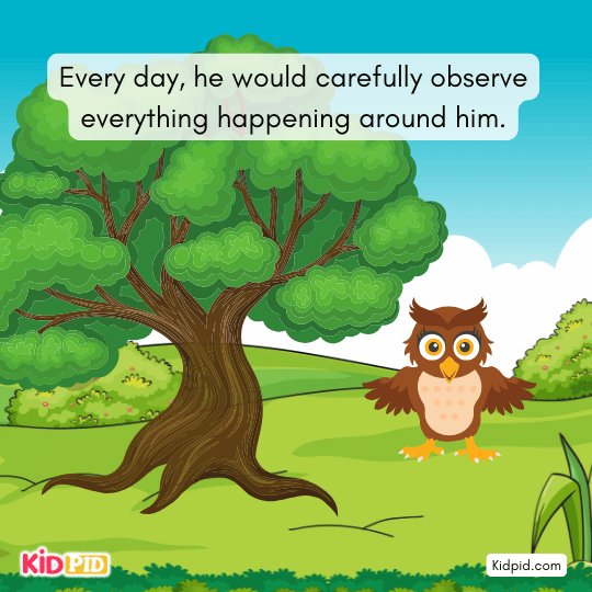 The owl carefully observes daily events around the oak tree, showing the value of awareness and mindfulness.