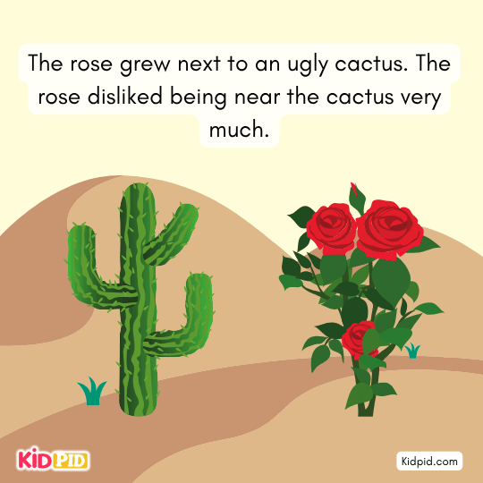 Rose grows beside an ugly cactus she dislikes, showing judgment and pride in this kids’ moral fable.