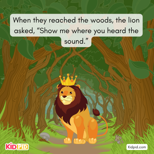 Lion explains rabbit panicked for no reason and scared all forest animals.