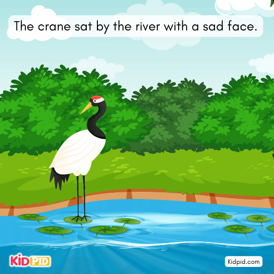 Crane sits sadly by the river pretending to worry, fooling the fish with its clever act.