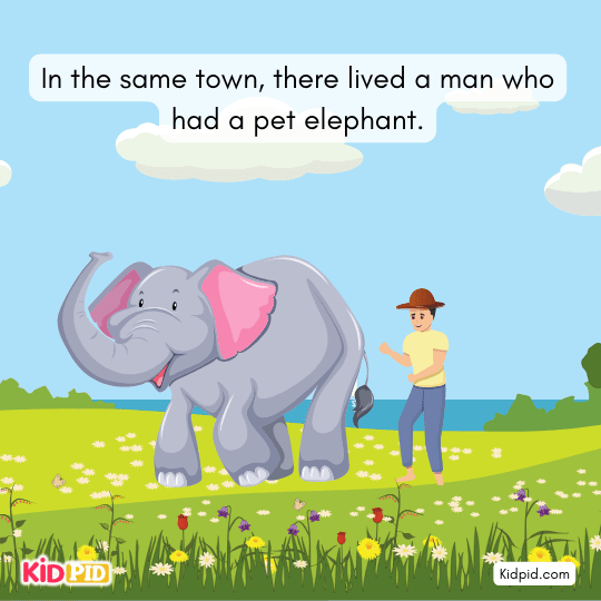 Elephant passing the tailor’s shop daily on its way to drink water from the pool.