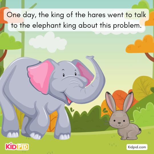 King of the hares approaching the elephant king to discuss the water problem in a children’s forest story.