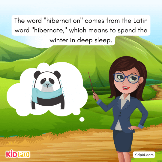 Page describing the word “hibernation” from Latin “hibernare,” meaning winter sleep — fun science learning for kids.