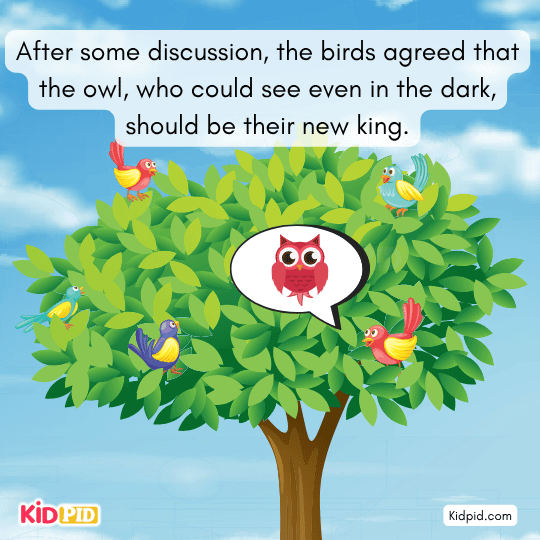 After debate, birds pick the owl—trusted for night vision and wisdom—as their new king in the fable.