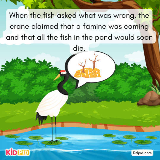 Crane tells the fish a famine is coming and all fish will die, tricking them with lies.
