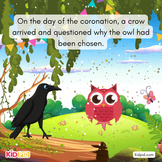 On coronation day a crow arrives and questions the owl’s selection, sparking leadership conflict and debate.