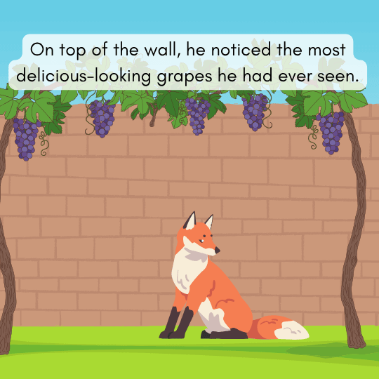 Fox noticing big, juicy, purple grapes on top of the farmer’s wall in a kids’ fable.