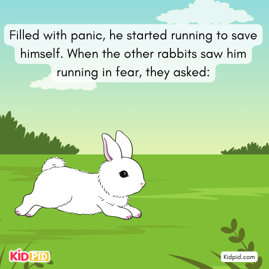 Other rabbits ask why he is running, confused by his sudden fear.