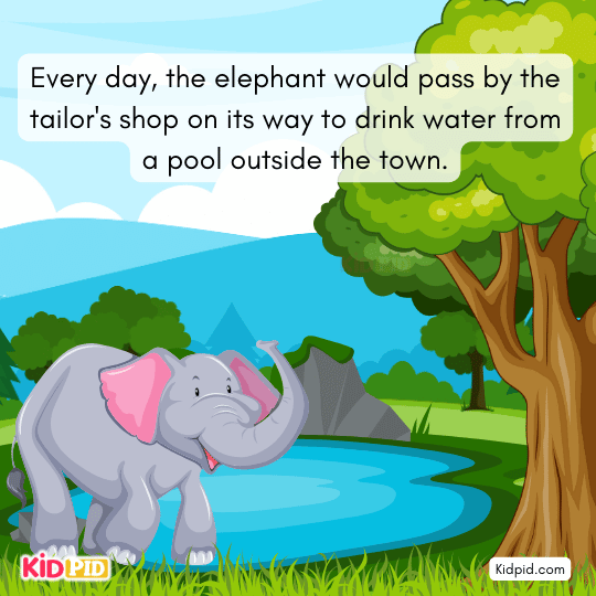 Tailor feeding the elephant a bun, showing friendship between man and animal.