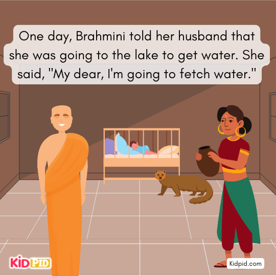 She warns her husband to ensure the mongoose does not harm their baby.