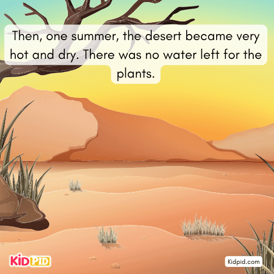 A hot, dry summer leaves the desert plants without water, creating struggle and hardship for the rose.