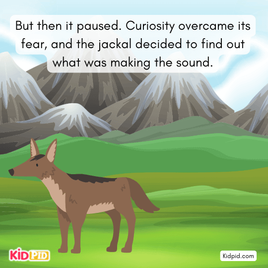 Jackal overcomes fear and bravely decides to investigate the strange noise instead of fleeing.