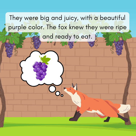 Ripe and delicious grapes tempting the hungry fox in this classic moral story for kids.