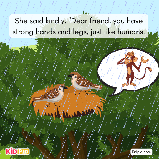 Sparrow gently advises the monkey to build his own home for protection.