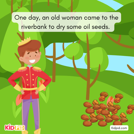 One day, an old woman came to riverbank to dry seeds - Bed time story for kids