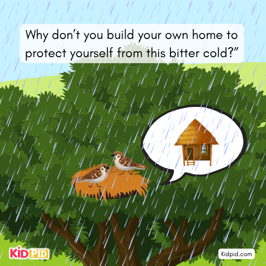 Monkey becomes angry at the sparrow’s advice and tells her to keep quiet.