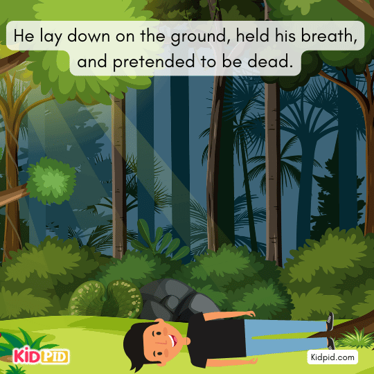 He lies still on the ground, pretending to be dead to escape the bear.