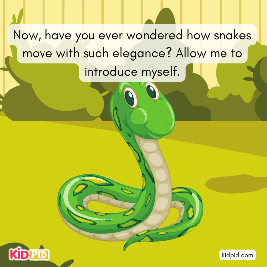 Curious question about how snakes move with elegance and grace.