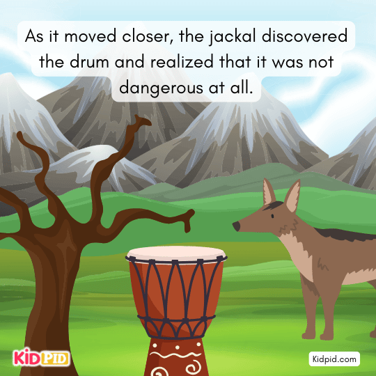 Jackal discovers the abandoned drum and realizes it is harmless, learning not to fear unknown sounds.