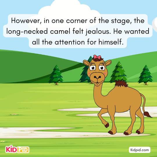 Camel dances clumsily on stage trying to get attention during the talent show.