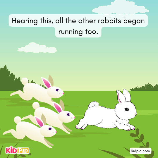 Forest animals see rabbits fleeing and ask what danger is happening.