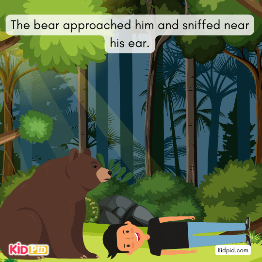 Bear sniffs near the boy’s ear while checking if he is really dead.