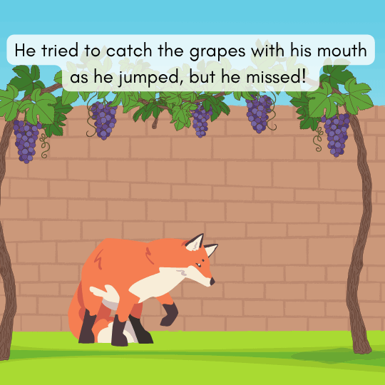 Fox trying to catch the grapes with his mouth but missing as he jumps in this moral story.